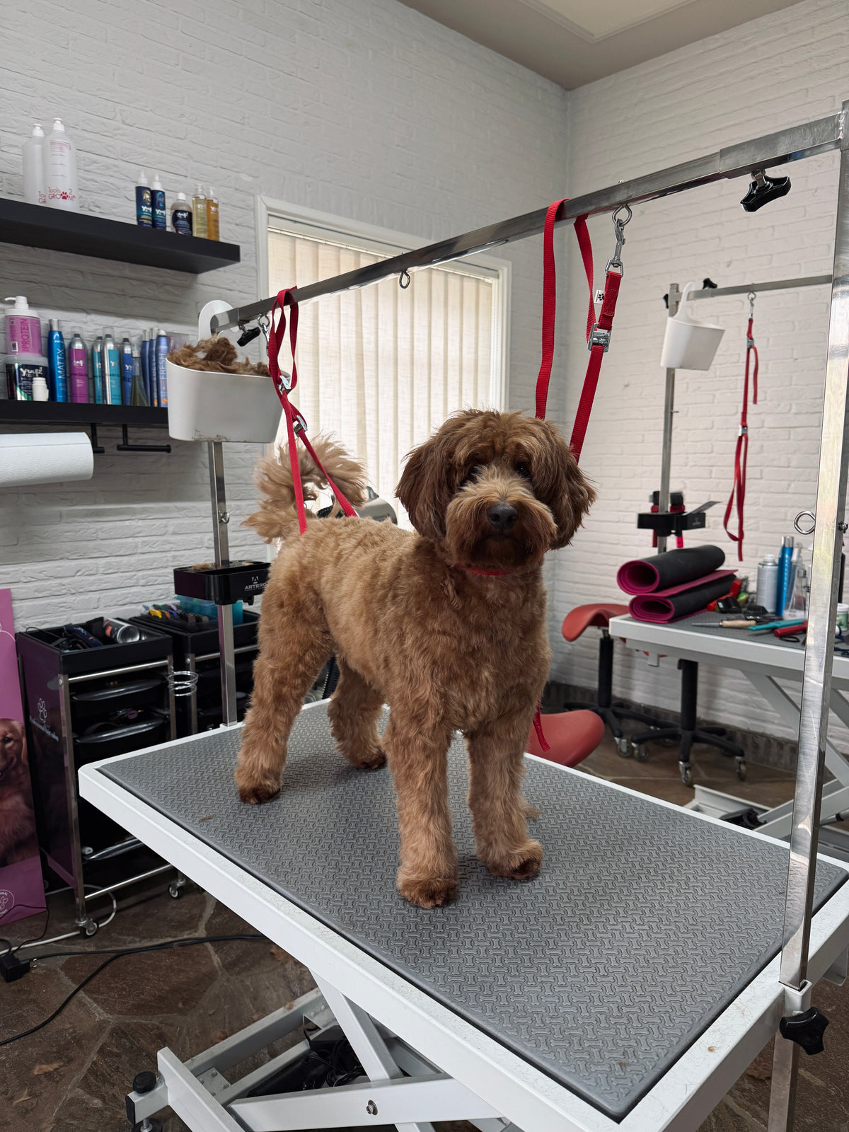 Gespecialiseerd in krulvachten